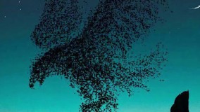 استاد غفاری ، ارزش انسان