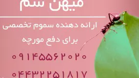 چگونه مورچه ها را از مواد غذایی آشپزخانه دور نگه داریم؟  | سم مورچه کش خارجی