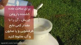 بهترین و سریعترین راه خلاصی از مورچه های آشپزخانه