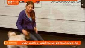 چگونگی تربیت سگ ::: نحوه فرمان برداری سگ از فرمان صاحب