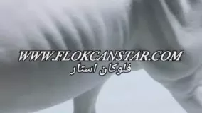 دستگاه مخمل پودر مخمل