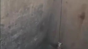 نجات جان روباه در آذربایجان شرقی