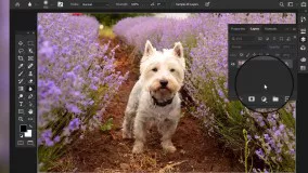 آشنایی با ابزار های فتوشاپ blur tool & sharpen tool & smudge tool