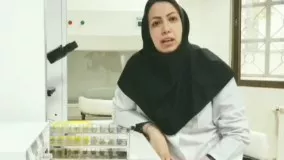 استخراج DNA