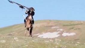 حمله عقاب طلایی غول پیکر به یک زن مغول برای آموزش شکار کردن