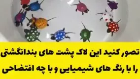 رنگ کردن لاک پشت‌ها هم جنایت است