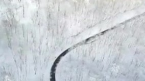 تصاویر هوایی دیدنی از جنگل‌های برفی اسالم