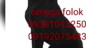 نمونه های مخمل پاشی شده /دستگاه مخمل پاش 09385324434