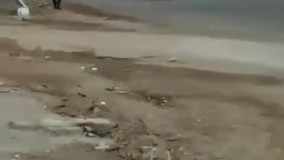 فرار خودروها از تب‌سنجی در پلیس راه!