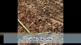 تولید لوله زهکش_کارخانه لوله زهکشی