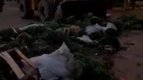 تلنبار شدن سبزی ها در میدان مرکزی تره بار تهران