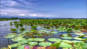 دکلمه : شهر من انزلی