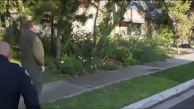 وحشت مردم از خرس ماده در خیابان های شهر