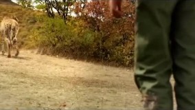 فیلم منطقه پرواز ممنوع پرفروش ترین فیلم نوجوان سال