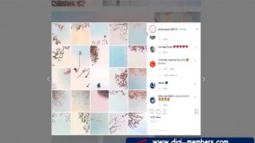 چگونه در هفت روز فالوور خود را افزایش دهیم