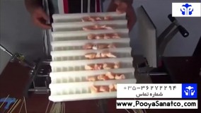 فروش دستگاه جوجه زن خانگی