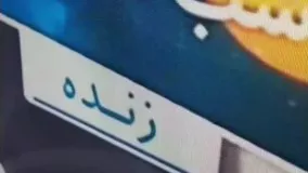 مدير اجرايي شهر مجازي ستيا