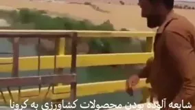 کشاورز خوزستانی، محصول خود را به رودخانه انداخت!