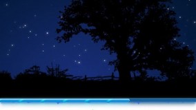 از روی پلک شب