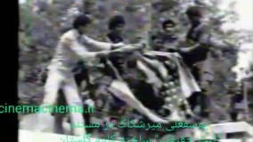 بازخوانی؛ اینشتین را یک حشره بیشتر نمی‌دانیم!