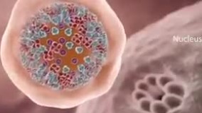 کرونا؛ از لحظه ورود به بدن تا ابتلا به بیماری