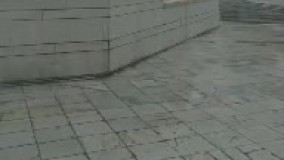 بارش برف در حرم مطهر امام رضا(ع)