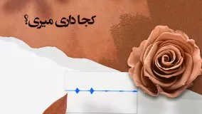 کجا دارید میرید؟