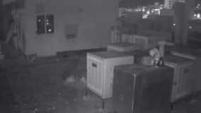 زلزله تهران با دوربین مخفی