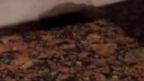 طرز ساخت اصولی مواد منفجره قدرتمند پودر فلش برای جویندگان علم شیمی