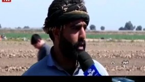 متهمان یک‌ و نیم‌میلیارد دلاری یا قهرمانان تولید ملی؟