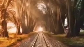 دکلمه احمد شاملو آخرین نفس