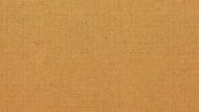 تست اینیاگرام با گزارش کامل در تست و تایپ