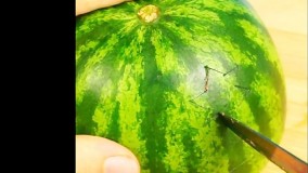 ایده ها  و ترفندهای خلاقانه برای آشپزی و میوه آرایی و تزئین غذا و میوه