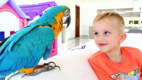 یه حیوون خونگی جدید میخوام؟!