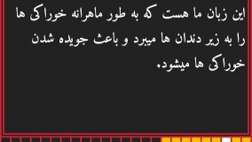 اثبات وجود خدا (2)