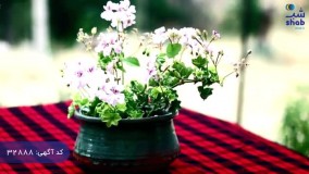 سفر به گیلان (اقامتگاه سورگل)