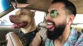 رفتار نامتعارف محسن افشانی در کنار یک سگ