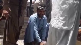 زنده‌گیری یک تمساح بزرگ از درون خانه‌ روستاییان چابهار