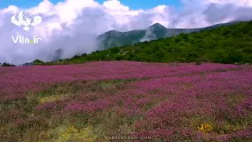 ییلاق گرسماسر رامسر - بهشت روزهای داغ تابستان - رامسر گردی