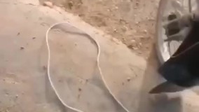 خودكشى ناموفق يك كارگر بر روی چاه نفت امیدیه