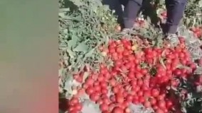 اعتراض کشاورز ورشکسته به وزیر کشاورزی