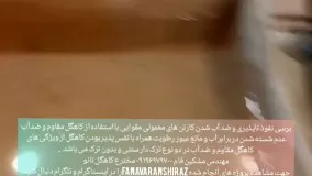 ماهی قرمز در کارتن کاهگل شده