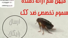 چگونه می توان کک ها را از بین برد؟ | سم قوی برای دفع کک