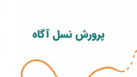 گردشگری کودک و توسعه پایدار ( خانه گردشگری ویرا )