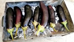 آموزش میرزا قاسمی آشپزی آسان و سریع آشپزخانه لاله