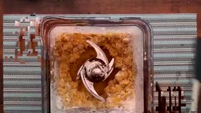 اموزش ساده تهیه فلافل با غذاساز