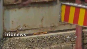 آتش سوزی در فضای سبز جامعه الزهرا قم