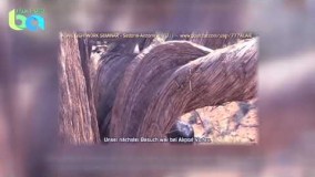 آلایا از سیاره پلیدین قسمت ۱۴ دوبله فارسی