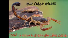 دفع عقرب از خانه، سریع و آسان