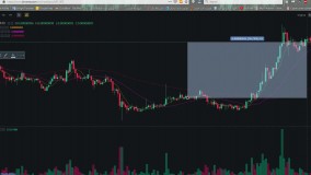 ارزهای دیجیتال صرافی بایننس Binance چقدر پتانسیل کسب سود دارند؟